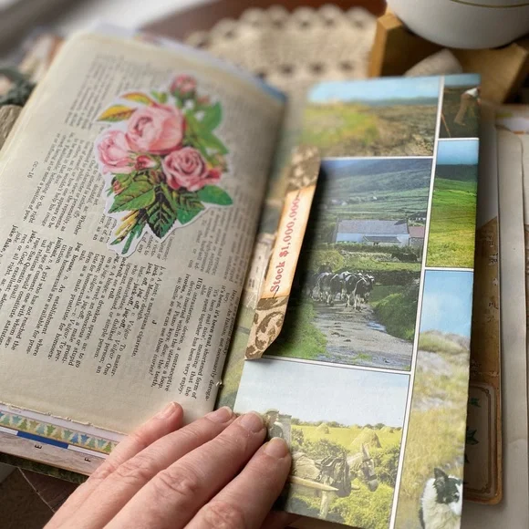 Vibrant Bird-Themed Travel Journal Mixed Media Art Junk Journal - Picture 11 of 17